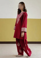 2 Pcs Women's Unstitched Embroidered Suit