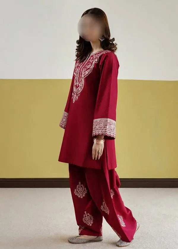 2 Pcs Women's Unstitched Embroidered Suit